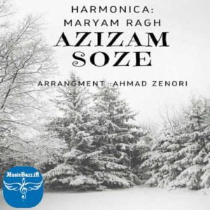 دانلود آهنگ بیکلام جدید مریم راغ بنام عزیزم سوزه