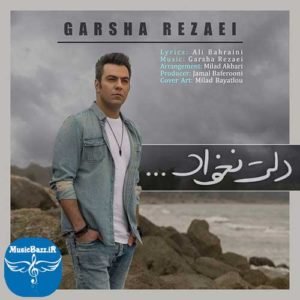 دانلود آهنگ جدید گرشا رضایی به نام دلت نخواد