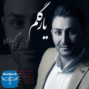 دانلود آهنگ لری یار گلم از امین گودرزی