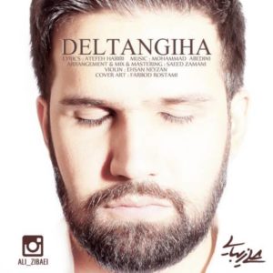 دلتنگی ها - علی زیبایی