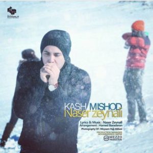 کاش میشد - ناصر زینعلی