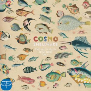 دانلود آهنگ جدید Cosmo Sheldrake به نام Come Along