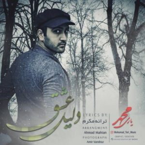 دانلود آهنگ محمد یاری به نام دلیل عشق