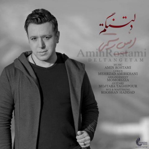 دانلود آهنگ امین رستمی به نام دلتنگتم