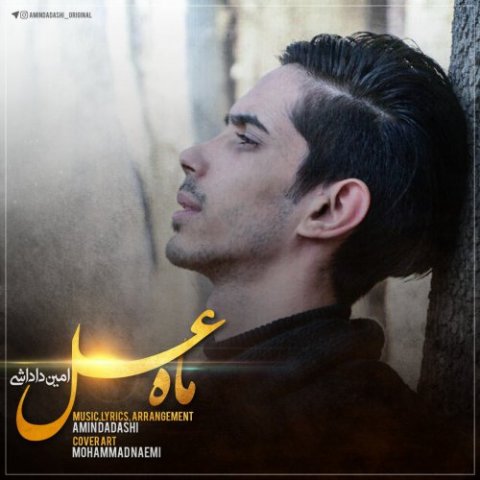 دانلود آهنگ امین داداشی به نام ماه عسل