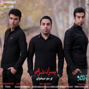تو منو نمیخوای - پسران شرقی