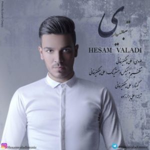 دانلود آهنگ حسام ولدی به نام تبعیدی