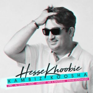 حس خوبیه - کامبیز کوشا