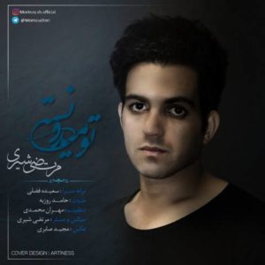 دانلود آهنگ مرتضی شیری به نام تو میدونستی