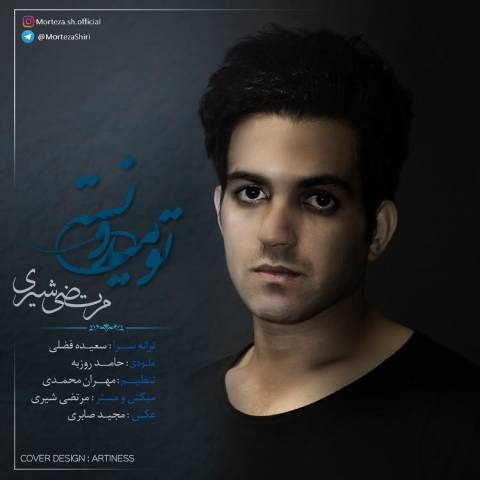 دانلود آهنگ مرتضی شیری به نام تو میدونستی