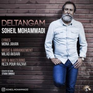 دانلود آهنگ سهیل محمدی به نام دلتنگم