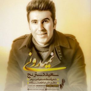 دانلود آهنگ سعید دسترنج به نام نمیدونی