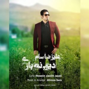 دیوونه بازی - علیرضا سام