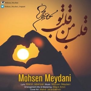 دانلود آهنگ محسن میدانی به نام قلب من قلب تو