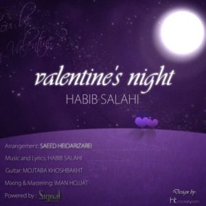 دانلود آهنگ حبیب صلاحی به نام شب ولنتاین