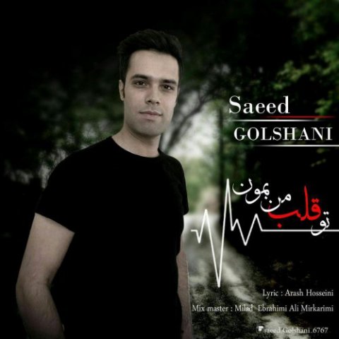 دانلود آهنگ سعید گلشنی به نام تو قلب من بمون