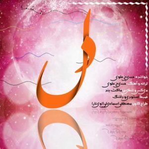 دل - حسین علوی