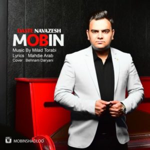 دانلود آهنگ مبین به نام دست نوازش