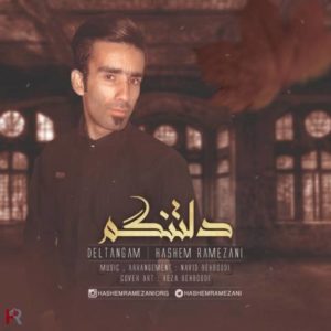 دانلود آهنگ هاشم رمضانی به نام دلتنگم