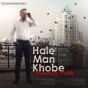 حال من خوبه - حمیدرضا حبیبی