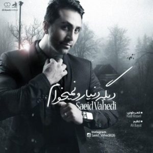 دانلود آهنگ سعید واحدی به نام دیگه دنیارو نمیخوام