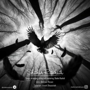 کلاغ - شاهین رشیدی