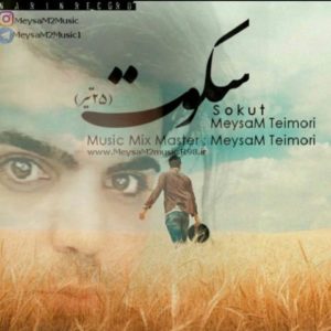 دانلود آهنگ میثم تیموری به نام سکوت