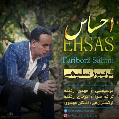 دانلود آهنگ فریبرز سلیمی به نام احساس