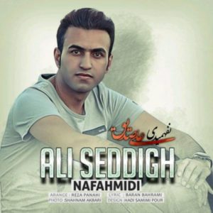 نفهمیدی - علی صدیق