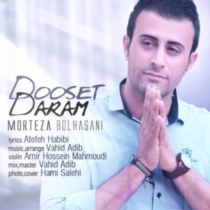 دوست دارم - مرتضی بوالحسنی