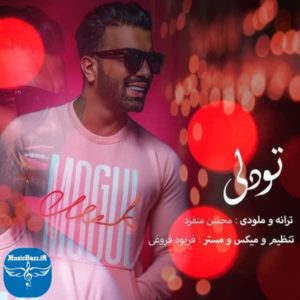 دانلود آهنگ جدید سعید علیشاهی تو دلی با کیفیت بالا