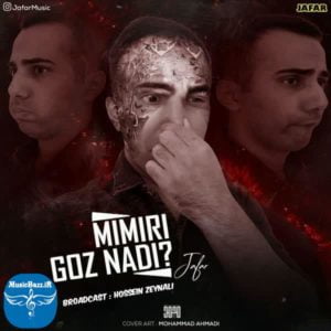 دانلود آهنگ جدید جعفر میمیری .. ندی (فان آهنگ تتلو) با کیفیت بالا