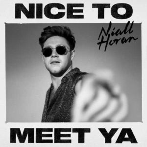 دانلود آهنگ خارجی Niall Horan به نام Nice To Meet Ya