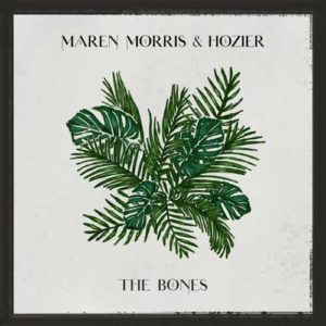 دانلود آهنگ خارجی Maren Morris And Hozier به نام The Bones
