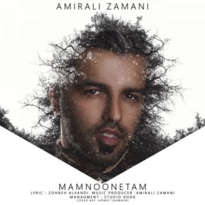 ممنونتم - امیرعلی زمانی