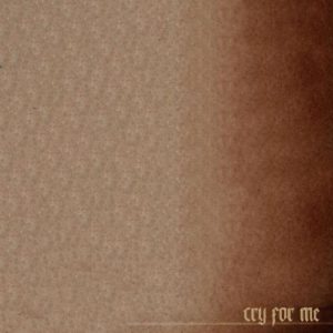 دانلود آهنگ خارجی Camila Cabello به نام Cry for Me