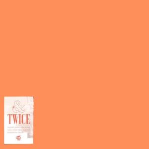 دانلود آهنگ خارجی TWICE به نام Fake True