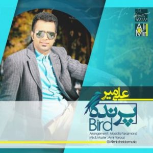 دانلود آهنگ علی میر به نام پرنده