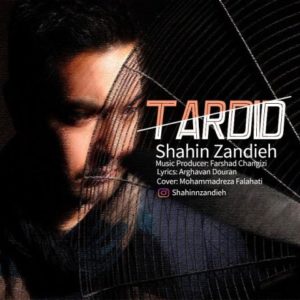 تردید - شاهین زندیه