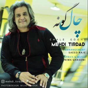 دانلود آهنگ مهدی تیرداد چال گونه