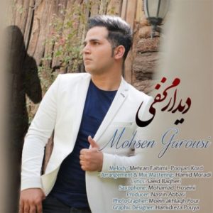 دیدار مخفی - محسن گروسی