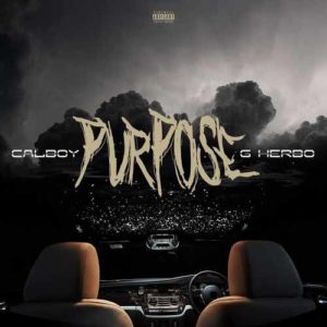 دانلود آهنگ Calboy And G Herbo به نام Purpose