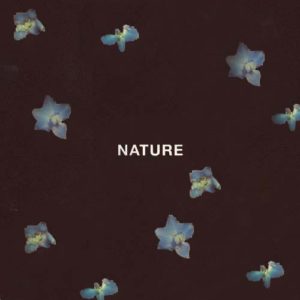 دانلود آهنگ خارجی Elley Duhe به نام NATURE