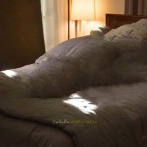 دانلود آهنگ HER به نام Comfortable