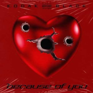 دانلود آهنگ Kodak Black به نام Because Of You