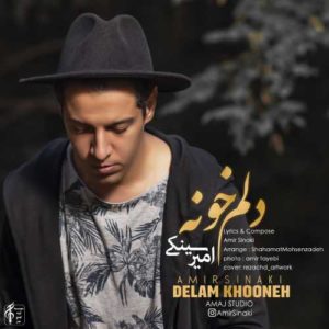 دانلود آهنگ امیر سینکی دلم خونه