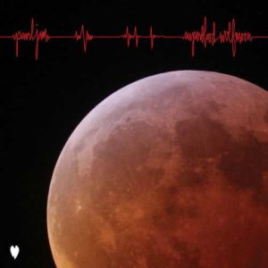 دانلود آهنگ Pearl Jam به نام Superblood Wolfmoon