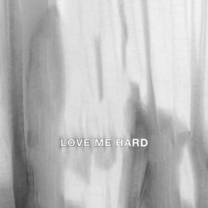 دانلود آهنگ Elley Duhe به نام LOVE ME HARD