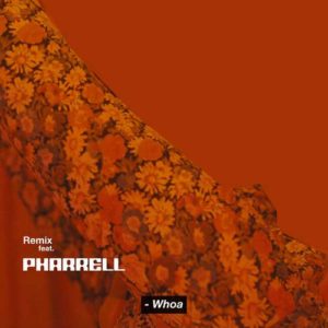 دانلود آهنگ Snoh Aalegra And Pharrell Williams به نام Whoa Remix
