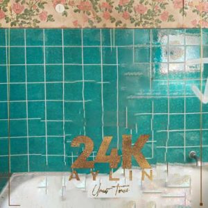 دانلود آهنگ Aylin And Umut Timur به نام 24k
